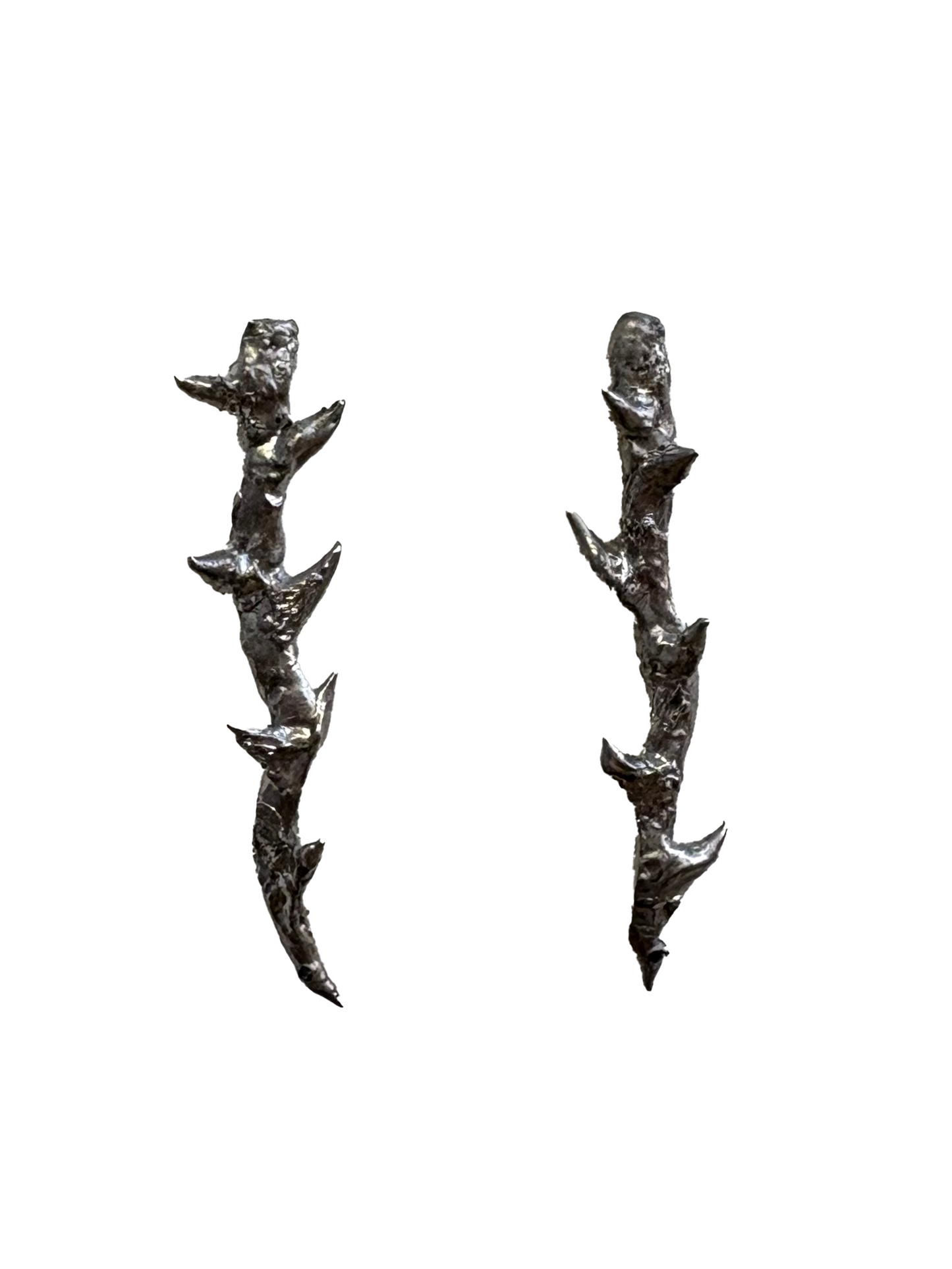 Orecchini ramo spinato